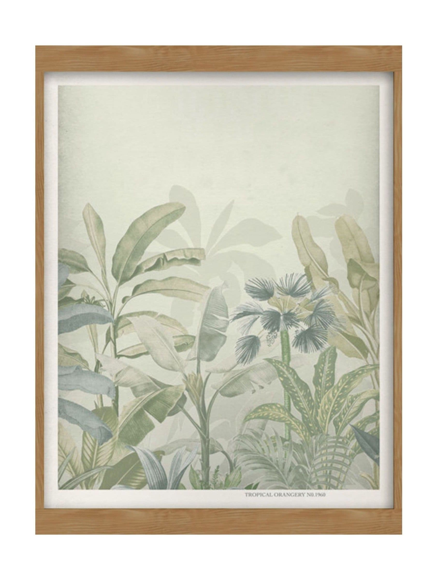 Graham & Brown Congo Sage framed print 43x53 cm (British brand)