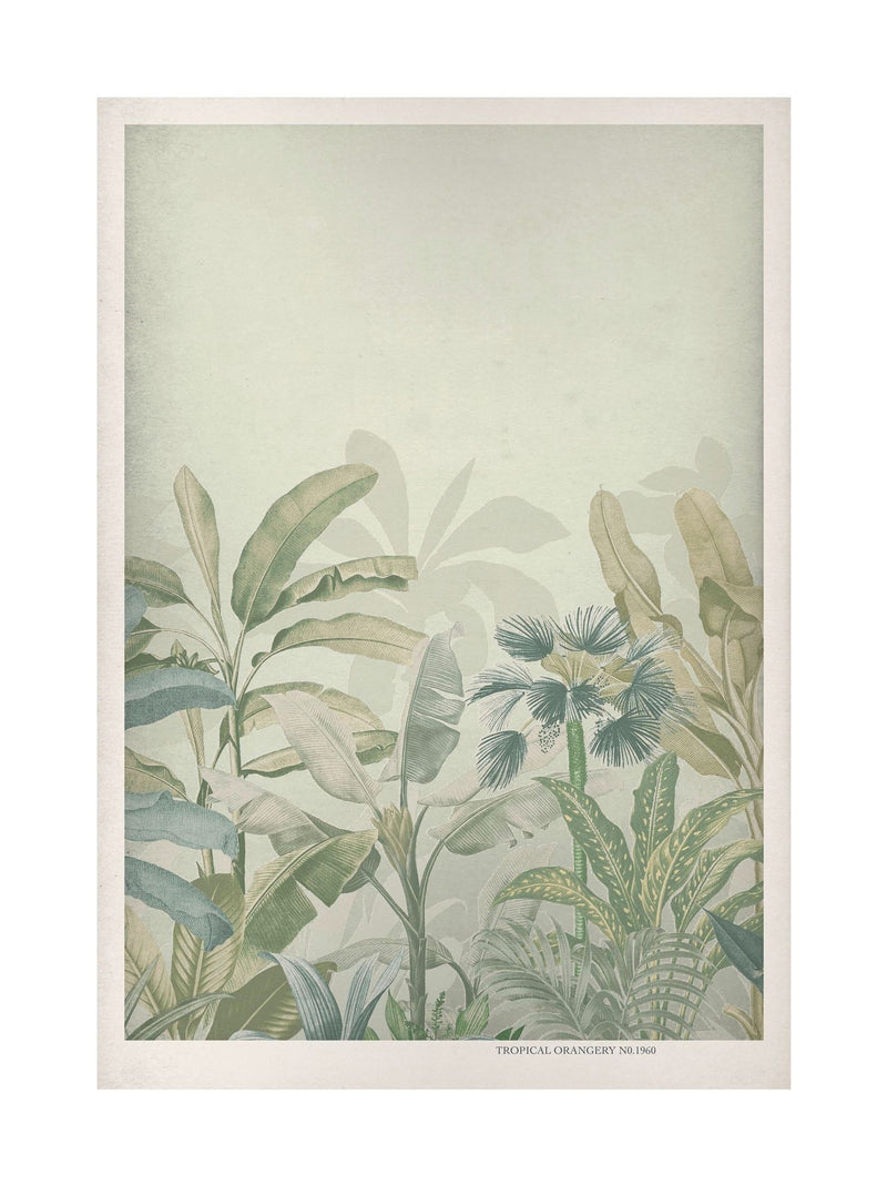 Graham & Brown Congo Sage framed print 43x53 cm (British brand)
