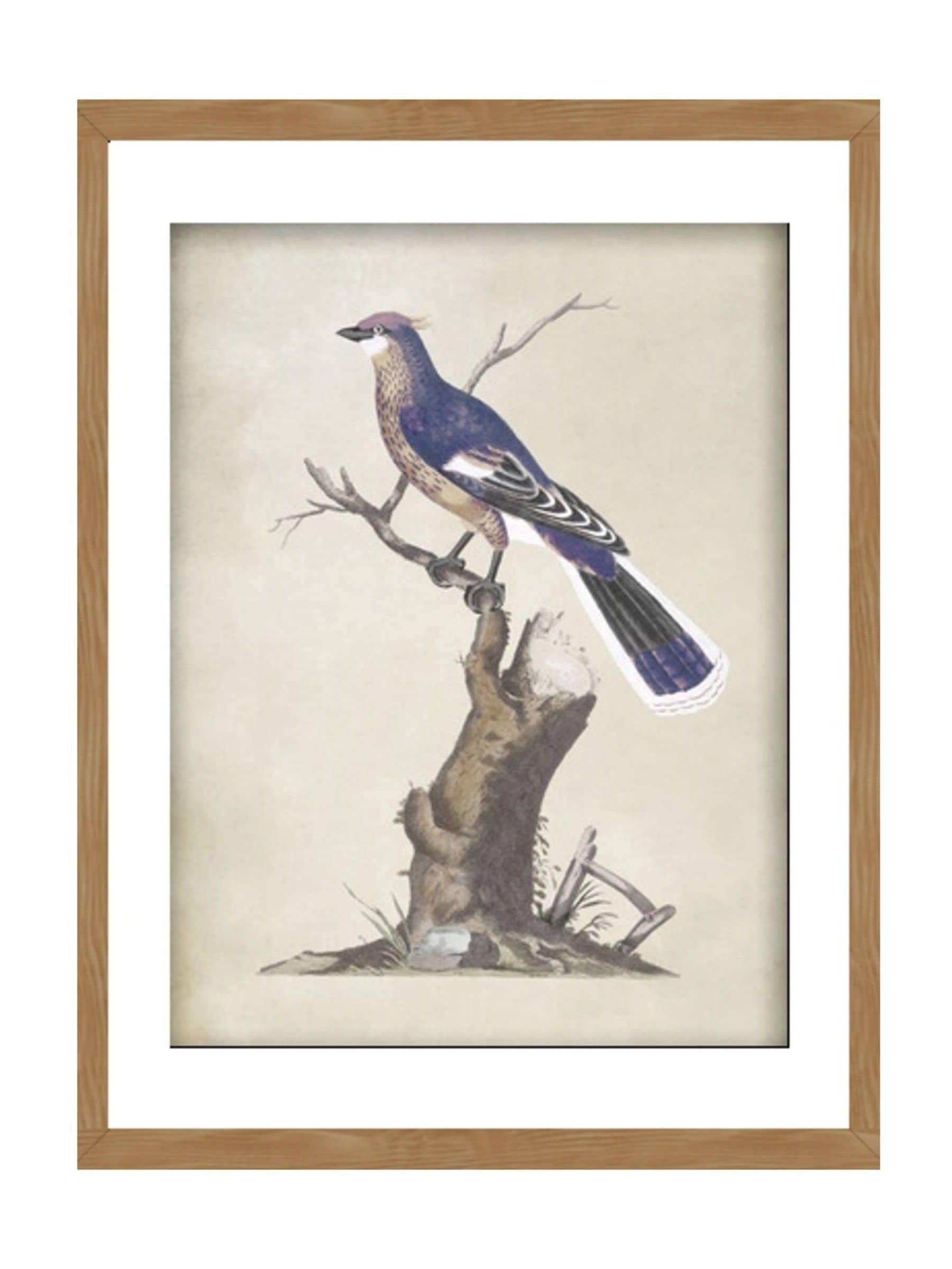 Graham & Brown perched serenity blue bird wall art, UK version