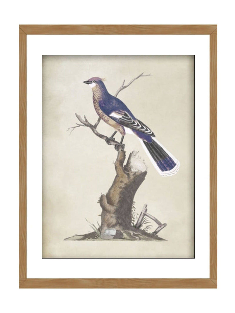 Graham & Brown perched serenity blue bird wall art, UK version