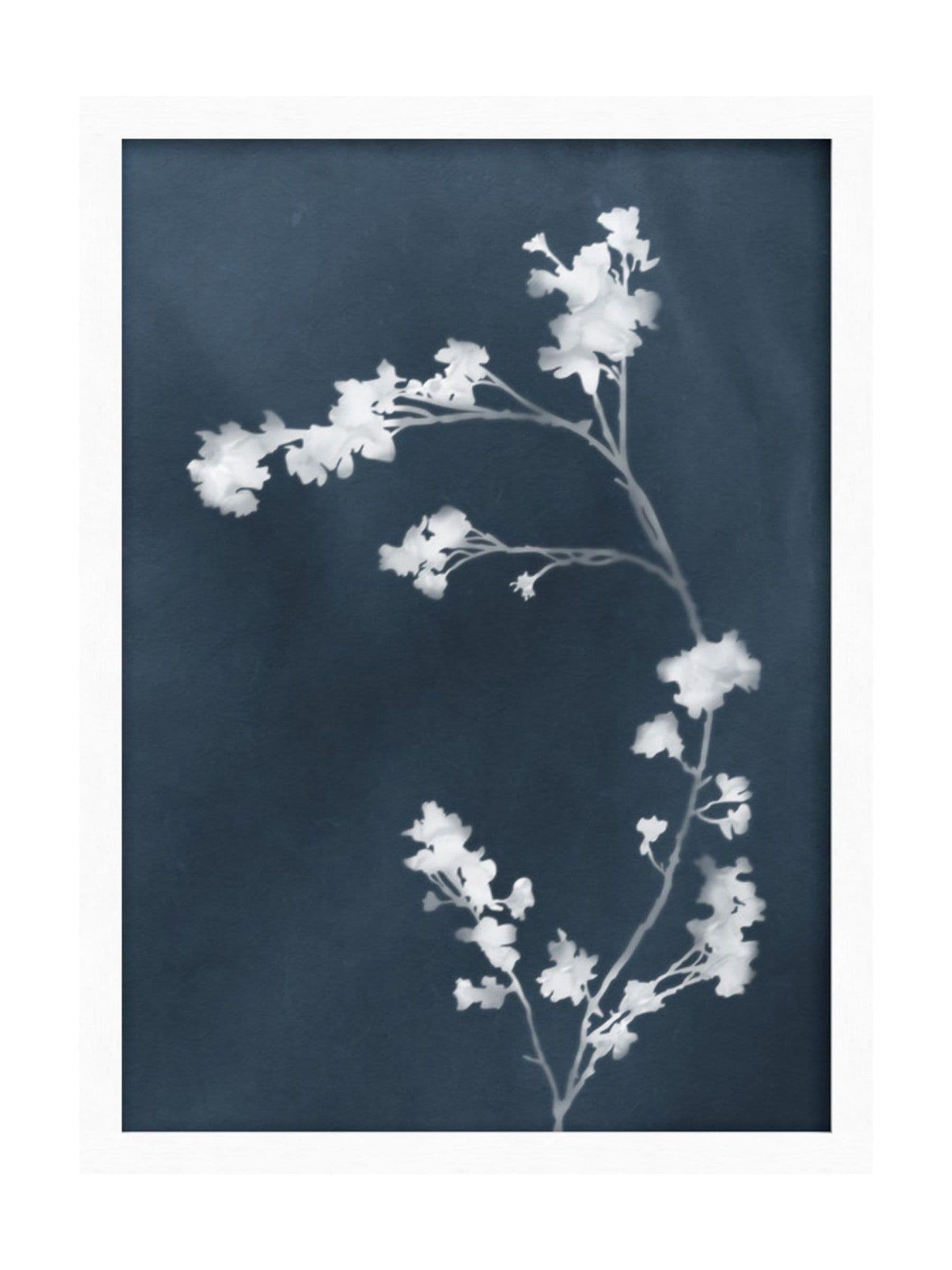 Graham & Brown Flower Press Blue framed art, imported from the UK
