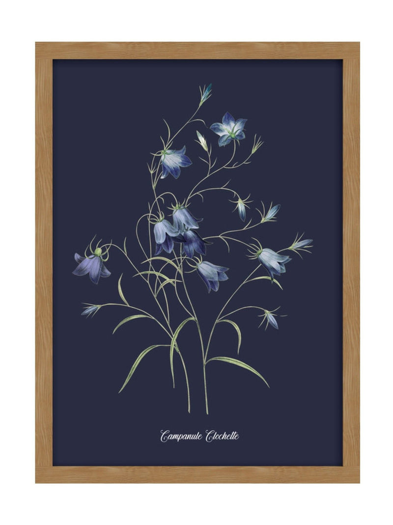 Graham & Brown Bluebell wall art 53x73cm, British brand