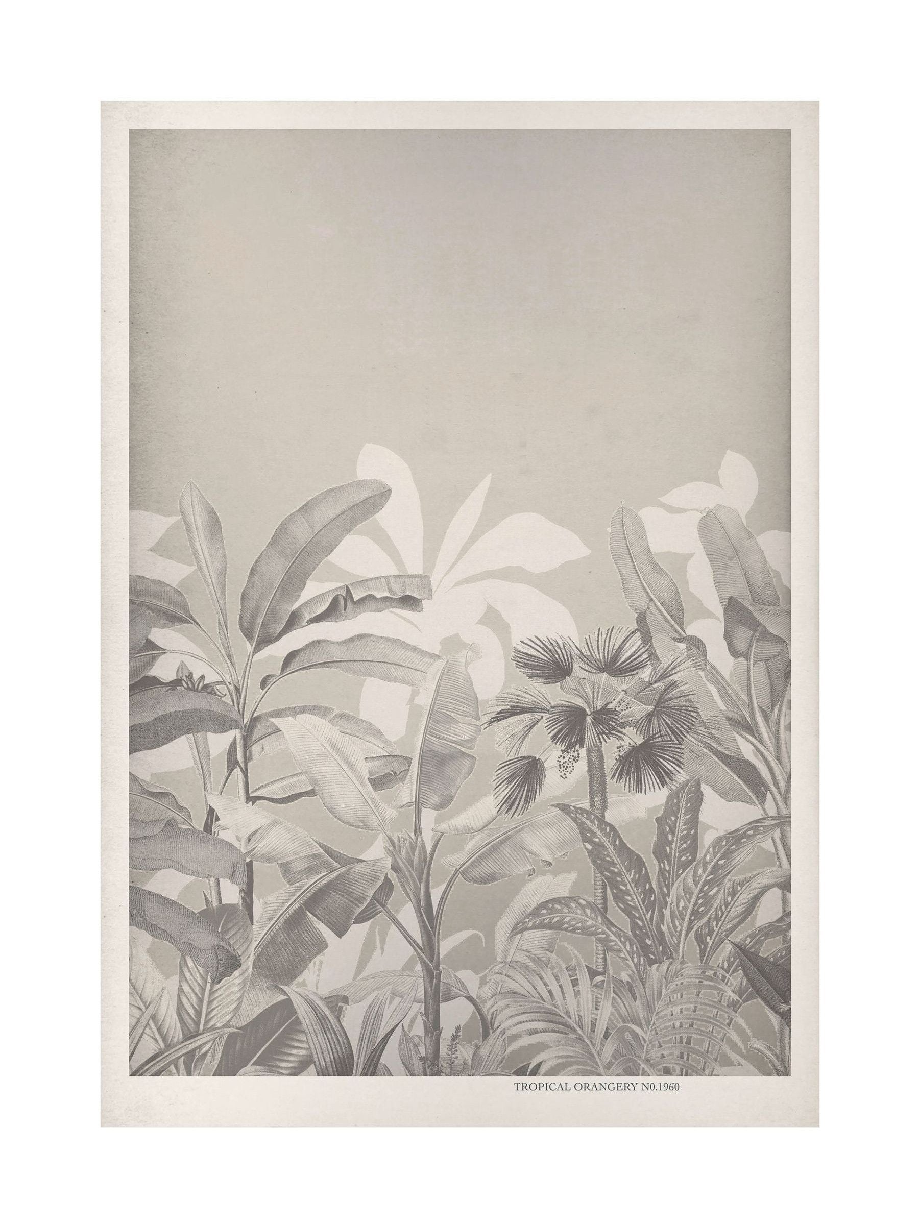 Graham & Brown Congo Taupe wall art 53x73cm (British brand)