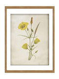 Graham & Brown Golden Wildflower framed art yellow bouquet - British product