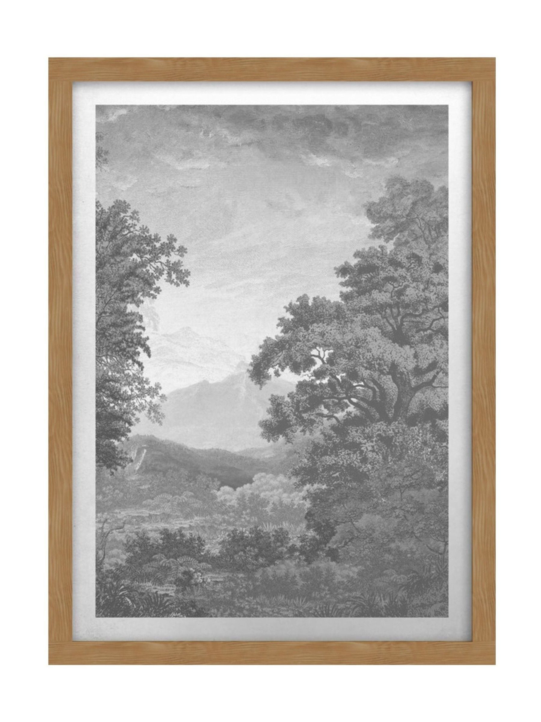 Graham & Brown Sketch Forest Grey framed wall art, UK version