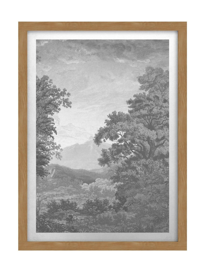 Graham & Brown Sketch Forest Grey framed wall art, UK version