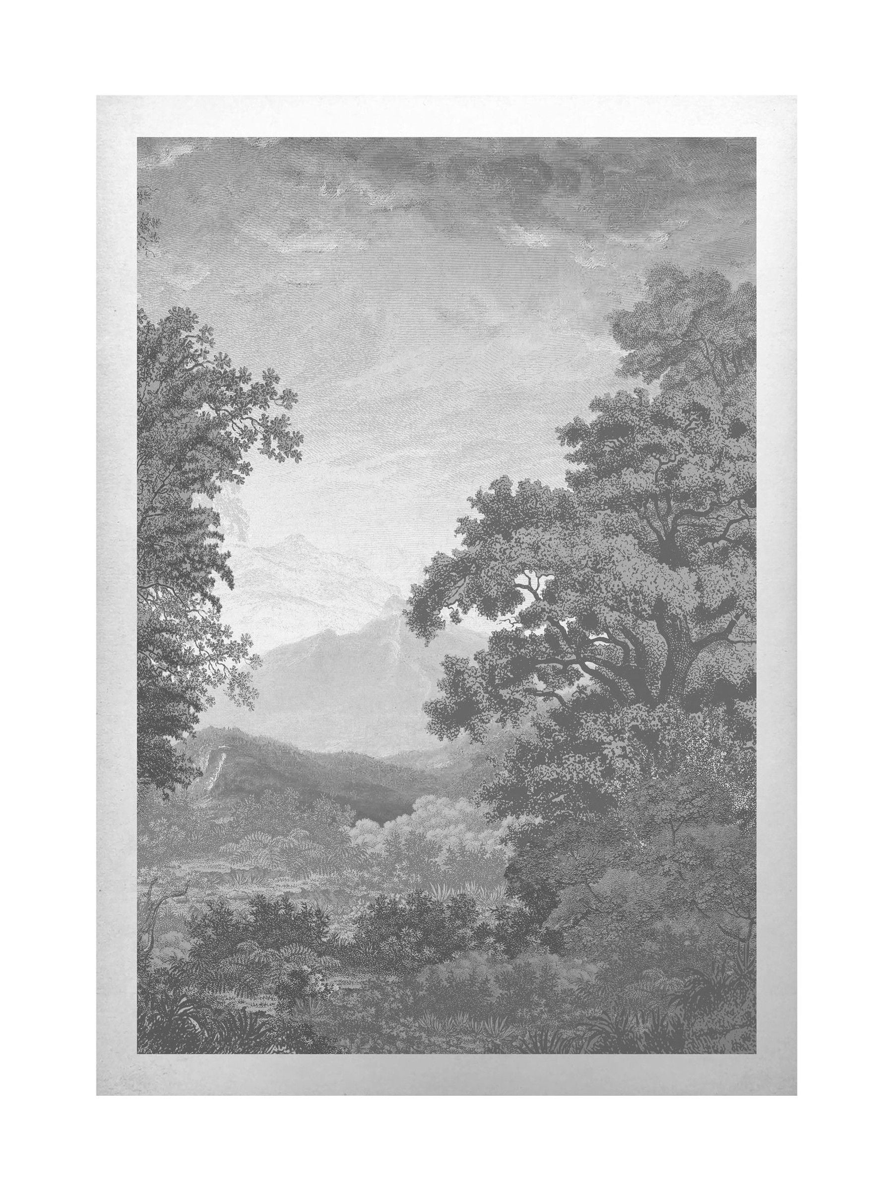 Graham & Brown Sketch Forest Grey framed wall art, UK version