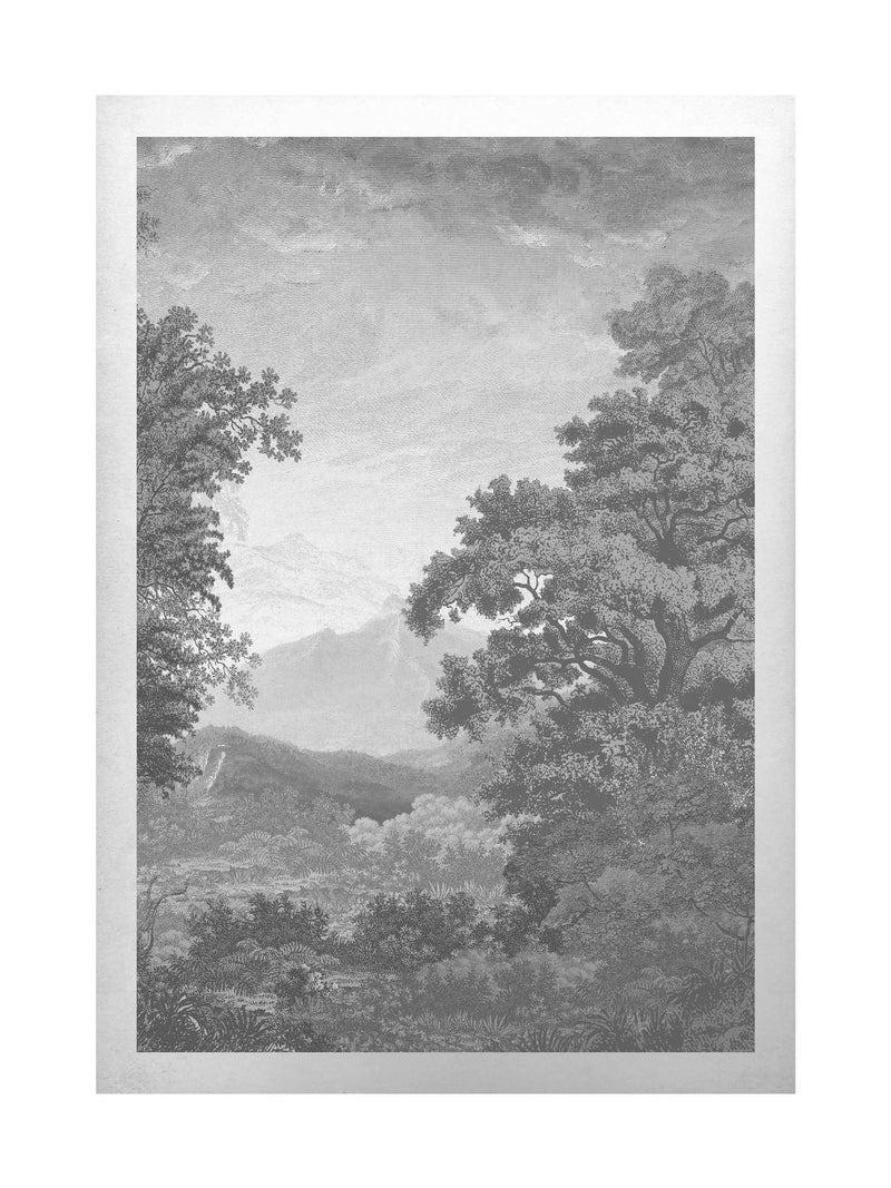 Graham & Brown Sketch Forest Grey framed wall art, UK version