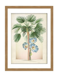 Graham & Brown Botanique Jungle framed art green wood frame, UK version