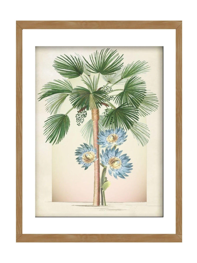 Graham & Brown Botanique Jungle Lush framed art 53x43cm, imported from the UK