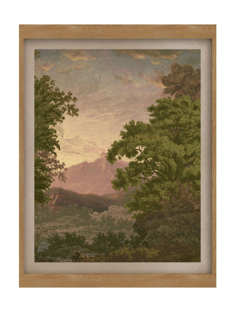 Graham & Brown Multicolour Sketch Forest Sunset Wood Frame