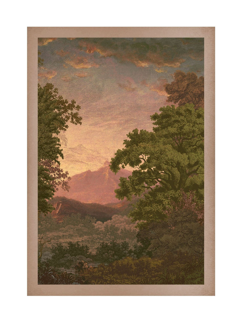 Graham & Brown Multicolour Sketch Forest Sunset Wood Frame