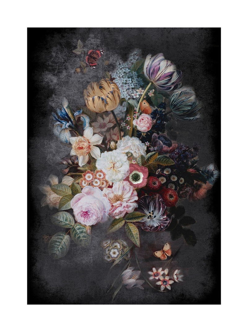 Graham & Brown Allure Bloom framed artwork imported from the UK