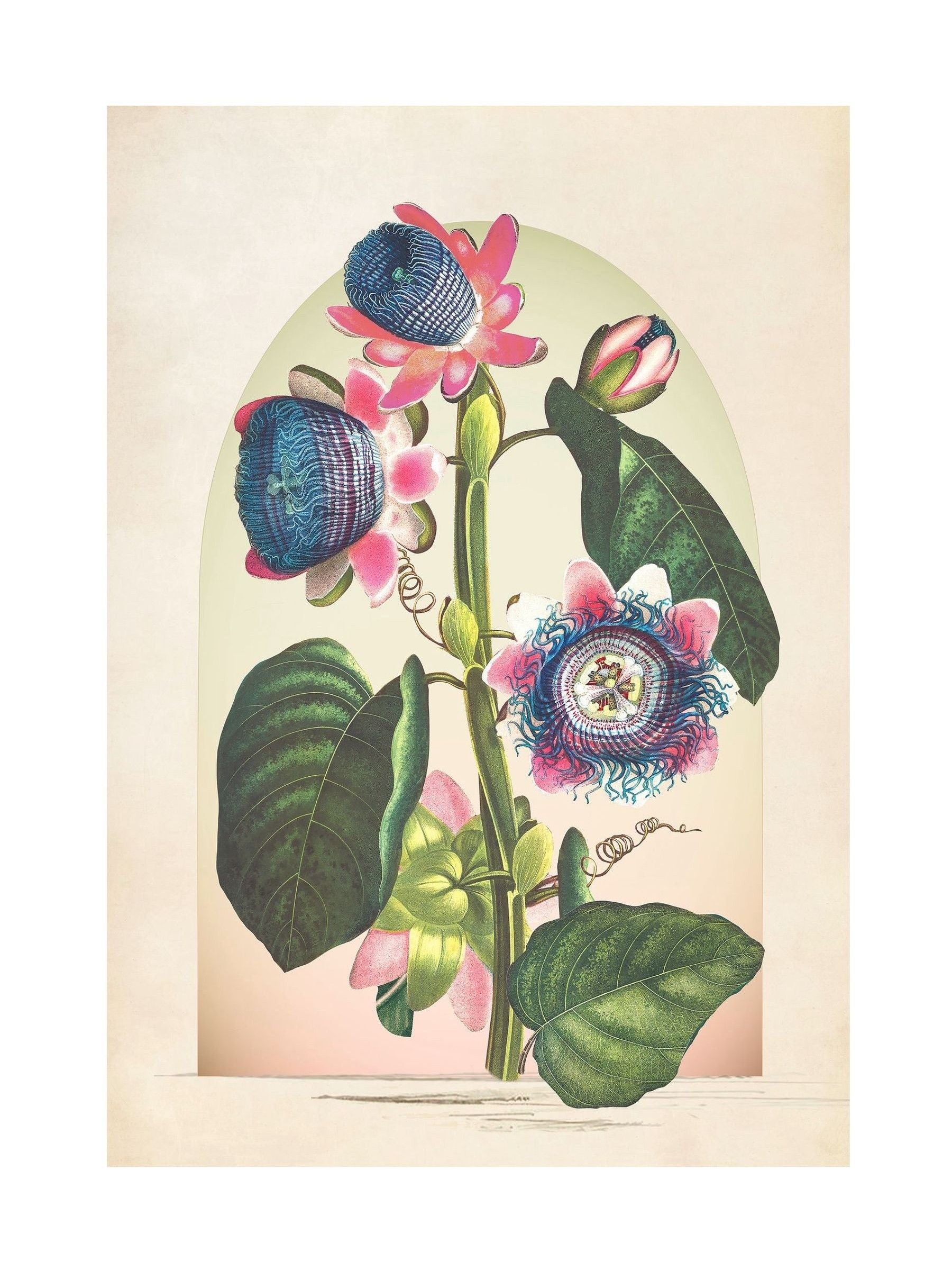 Graham & Brown multicolour Botanique Jungle Bloom frame, imported from the UK