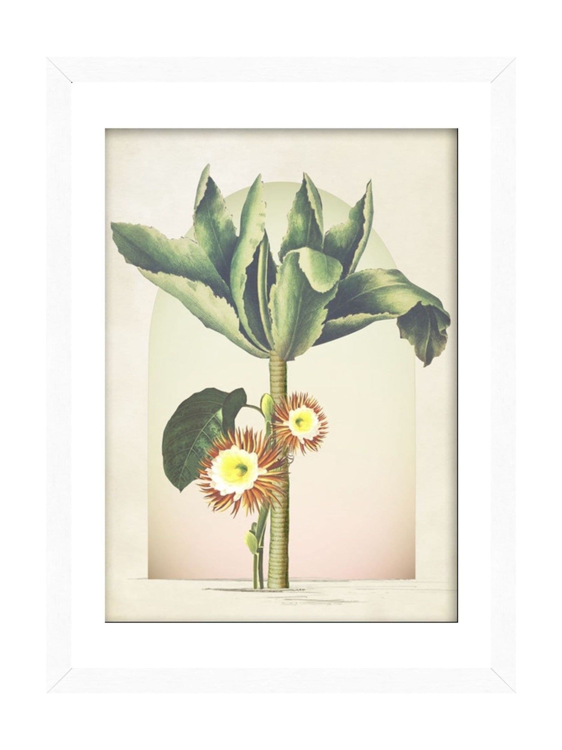 Graham & Brown Botanique Jungle Tree framed wall art (British brand)