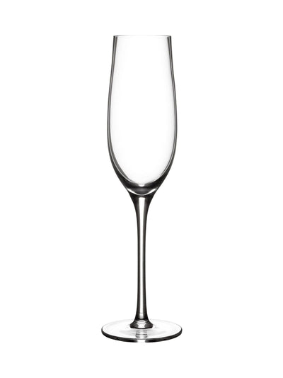 Next Judge Set of 4 Clear Champagne Glasses- Buy online at McGrocer