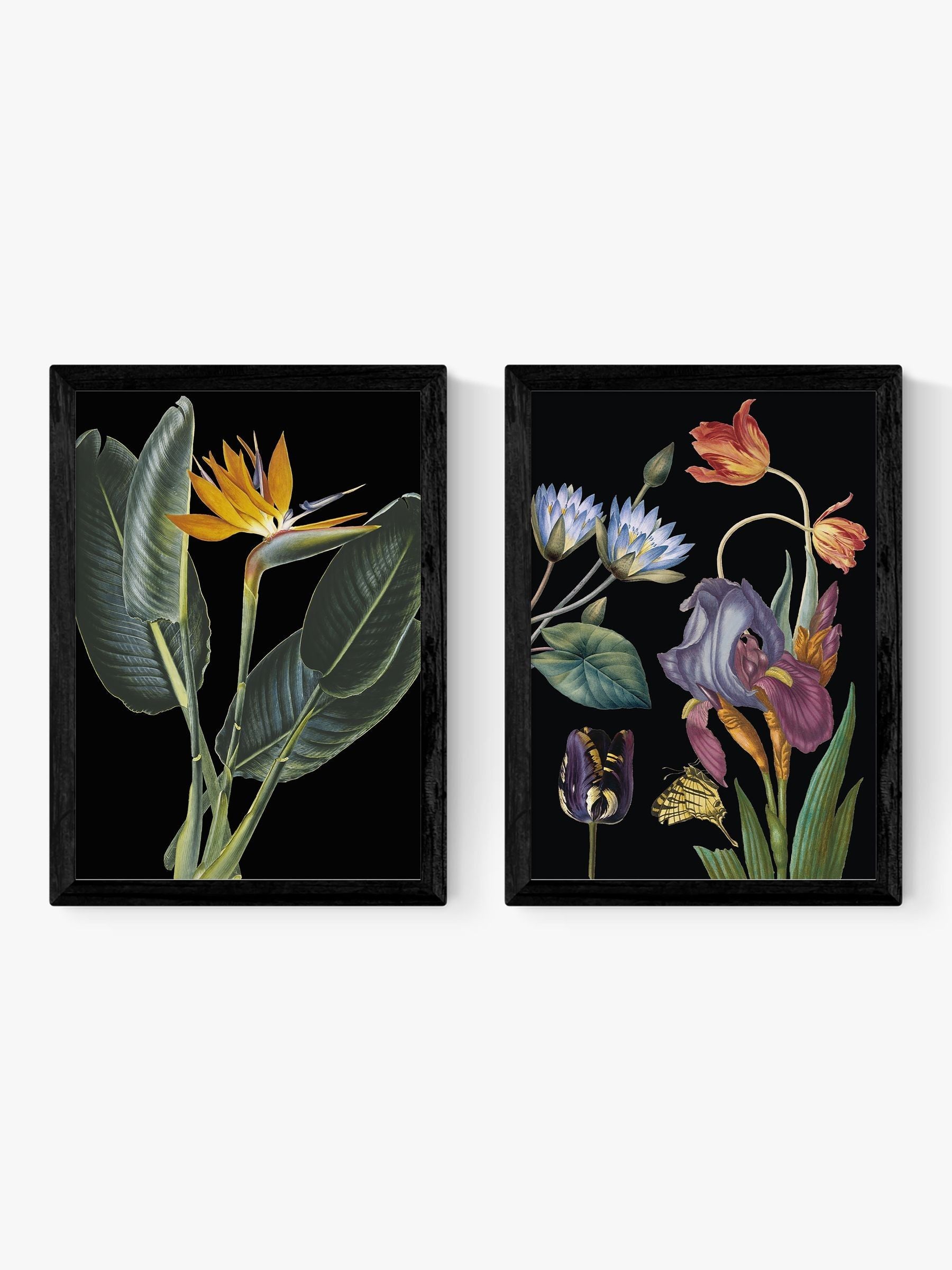 East End Prints black dark florals art prints - British product
