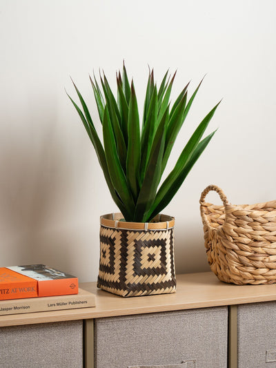 Next Scottish Everlastings Ltd Green Artificial Aloe Plant in Basket- Buy online at McGrocer