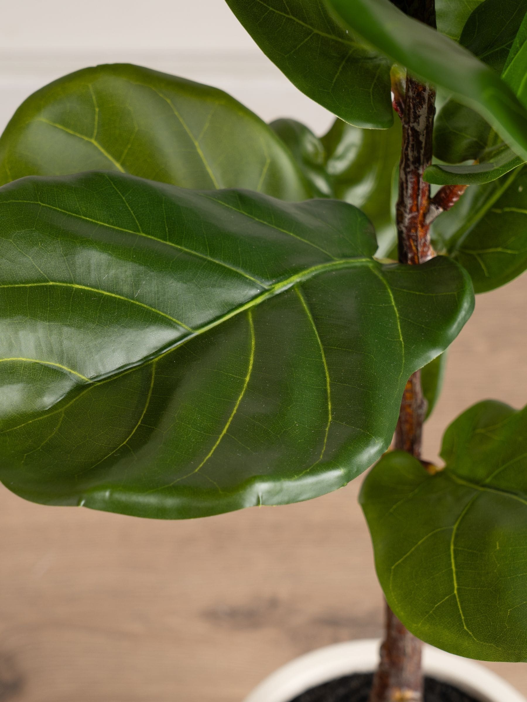 Scottish Everlastings green artificial fig tree chunky pot, imported from the UK