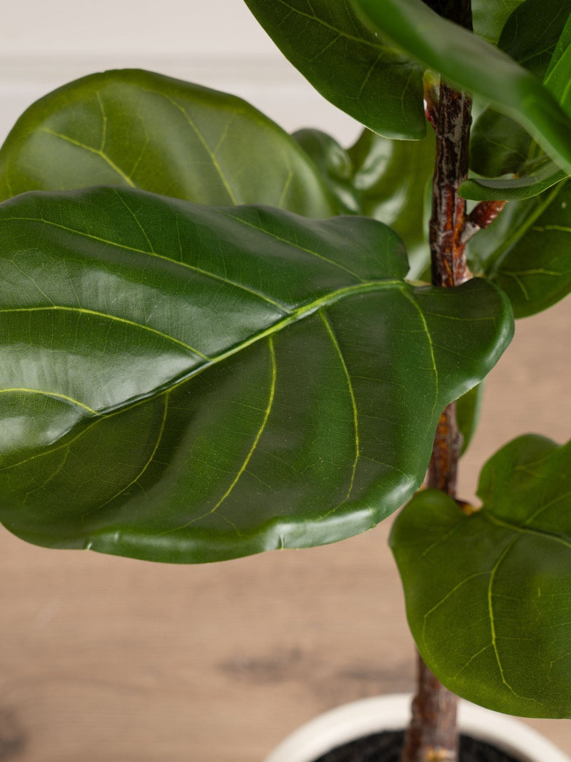 Scottish Everlastings green artificial fig tree chunky pot, imported from the UK