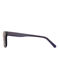 Superdry Blue 5055 sunglasses wayfarer style, imported from the UK