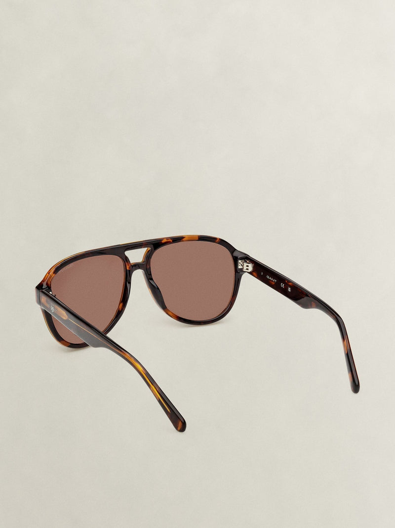 GANT gold acetate sunglasses (British brand)