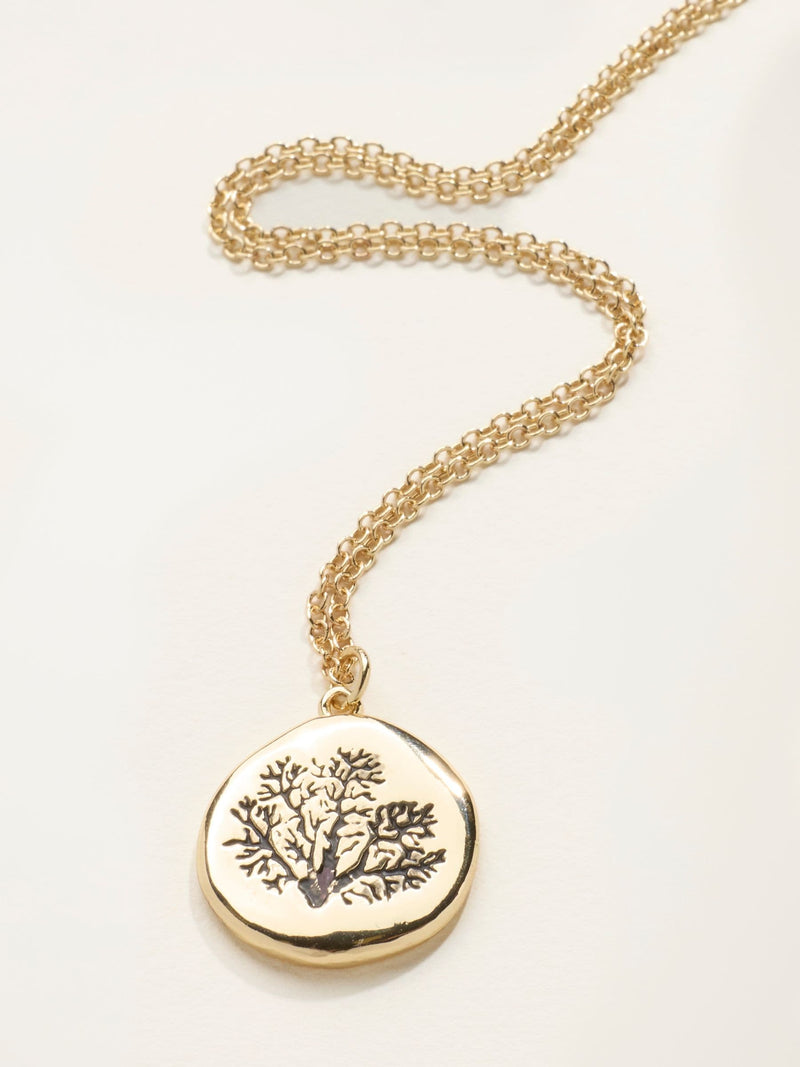 FatFace engraved gold tone necklace 24.5cm (British brand)