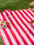 Wylder pink birdie stripe picnic blanket, UK version
