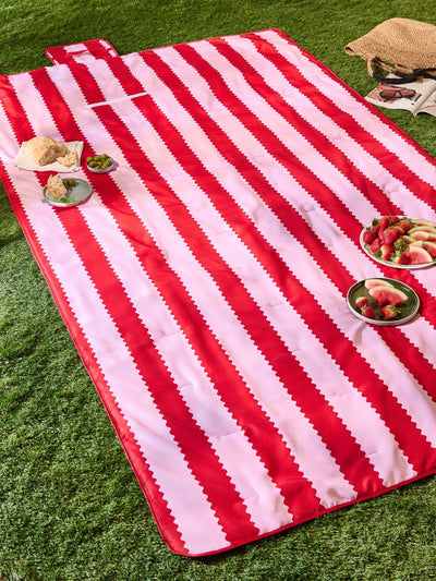 Next Wylder Pink Birdie Stripe Water Resistant Outdoor Picnic Blanket (Large)- Buy online at McGrocer