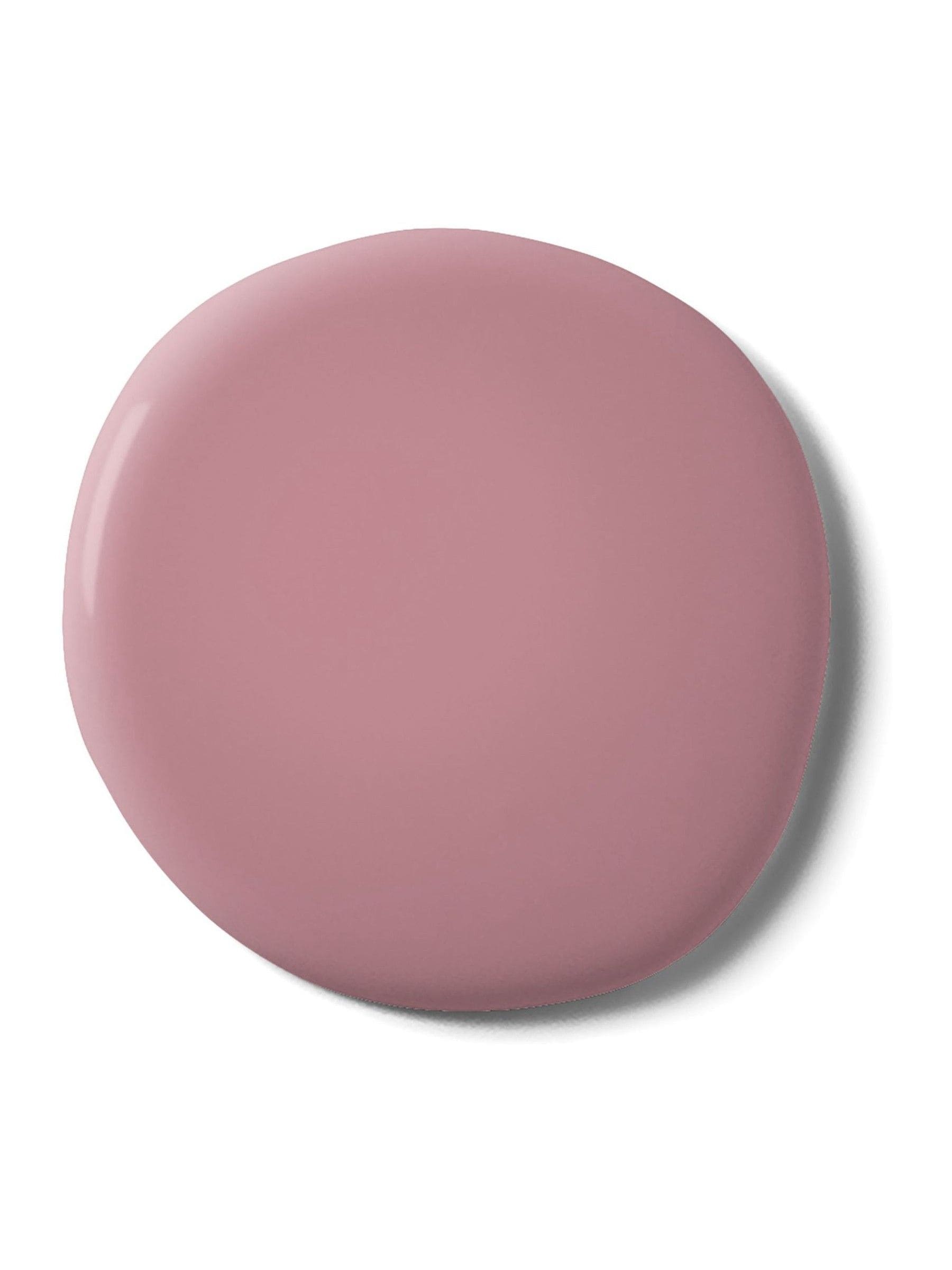Graham & Brown Jenna resistance matt emulsion paint (British brand)