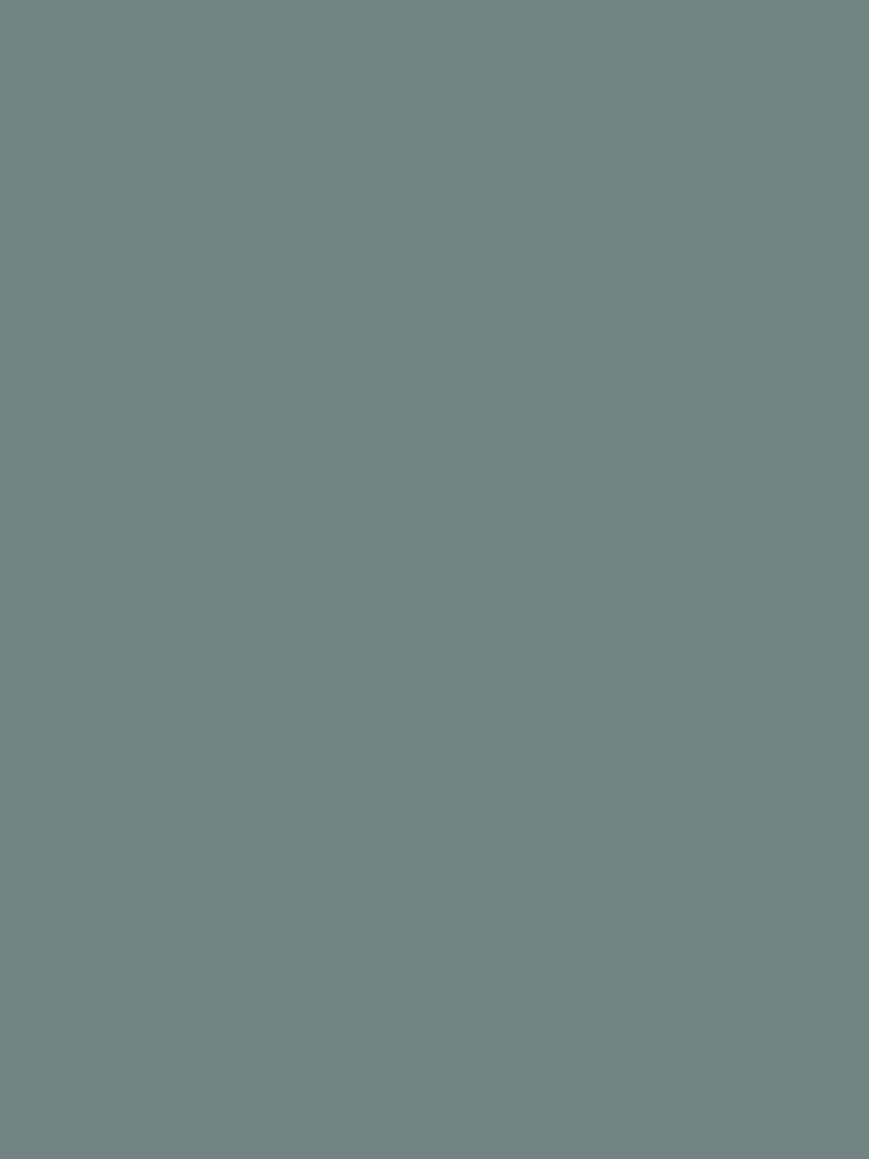 Graham & Brown 1946 resistance matt emulsion paint (British brand)