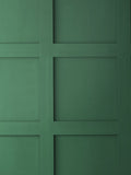 Graham & Brown Amalfi matt emulsion paint, imported from the UK
