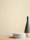 Graham & Brown paint Buddha shade - British product