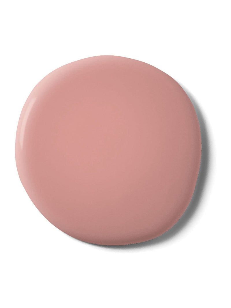 Graham & Brown Popsicle Resistance matt emulsion paint - British product