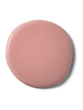 Graham & Brown Popsicle Resistance matt emulsion paint - British product