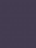 Graham & Brown Buddleia matt emulsion paint, imported from the UK