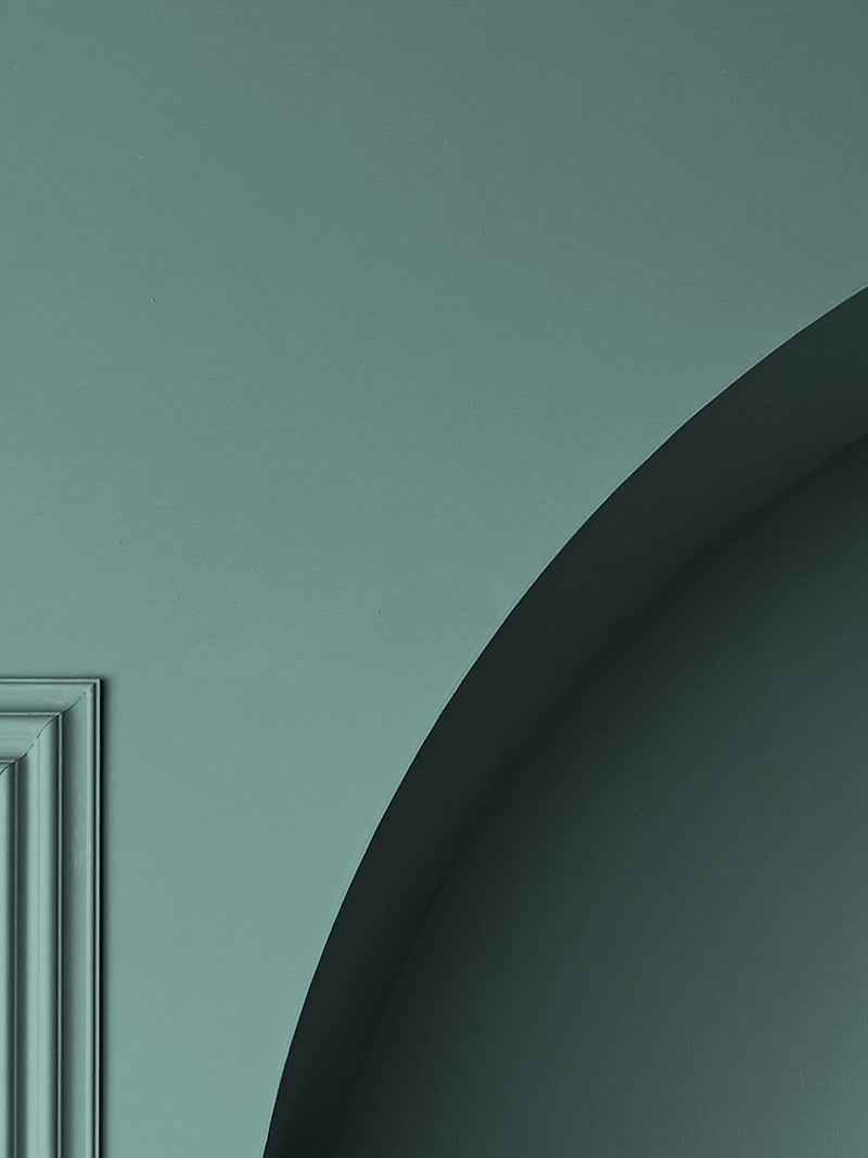 Graham & Brown Botany Resistance sage green matt paint - British product