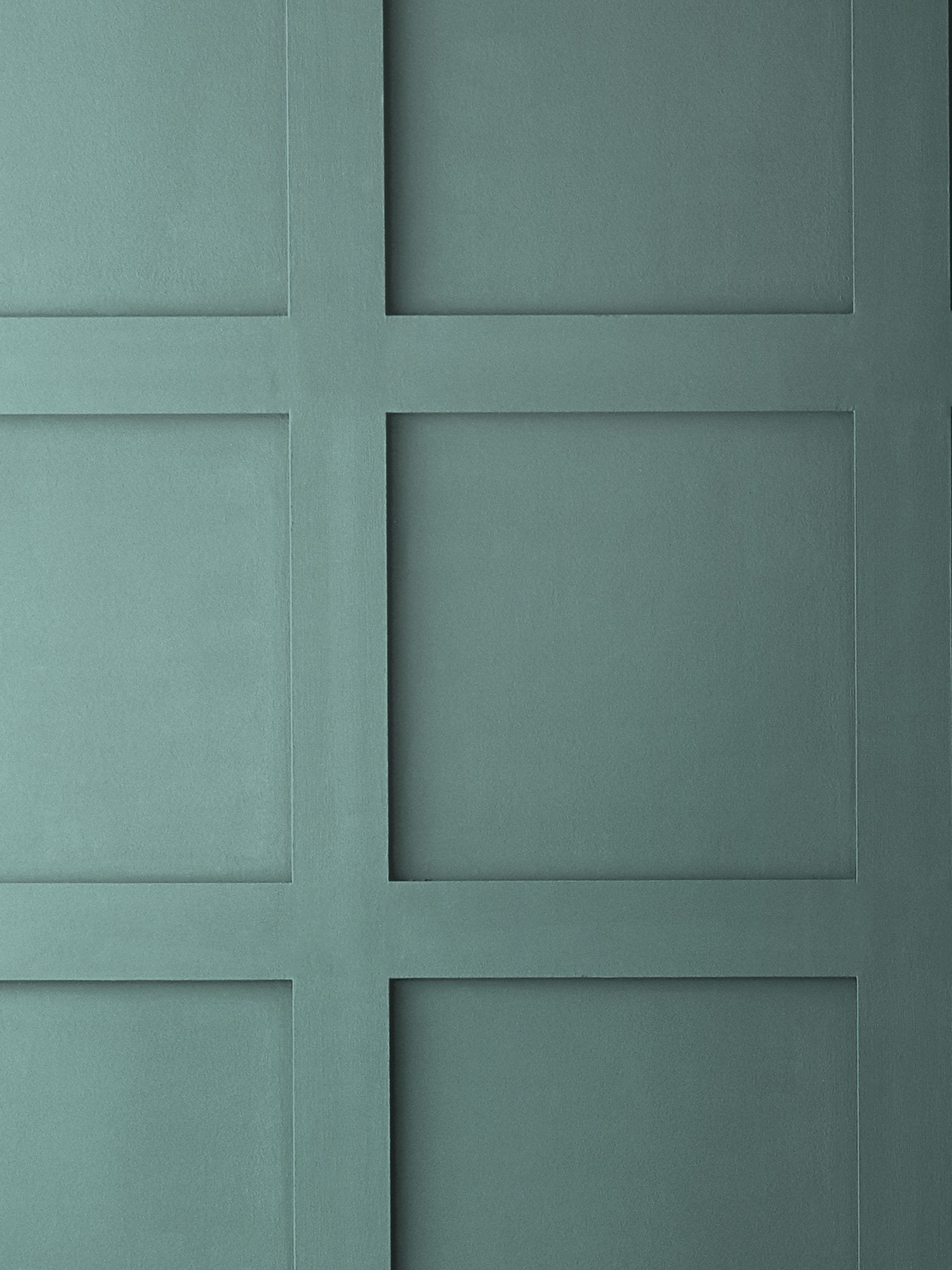 Graham & Brown Botany Resistance sage green matt paint - British product