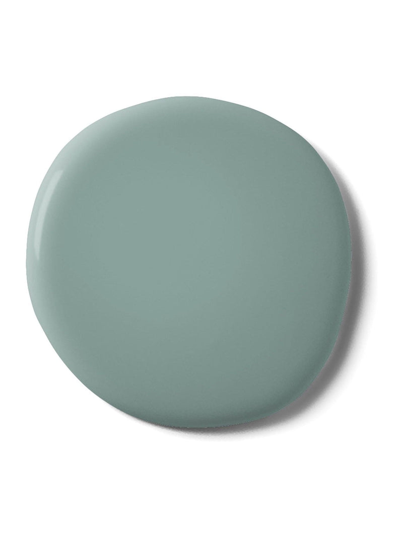 Graham & Brown Botany Resistance sage green matt paint - British product