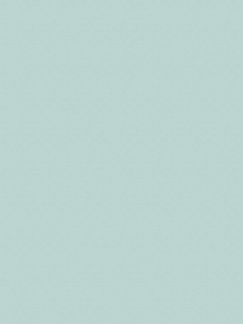 Graham & Brown Daisy Field matt emulsion paint - British product