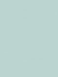 Graham & Brown Daisy Field matt emulsion paint - British product