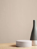 Graham & Brown Gobi resistance matt emulsion paint - British product