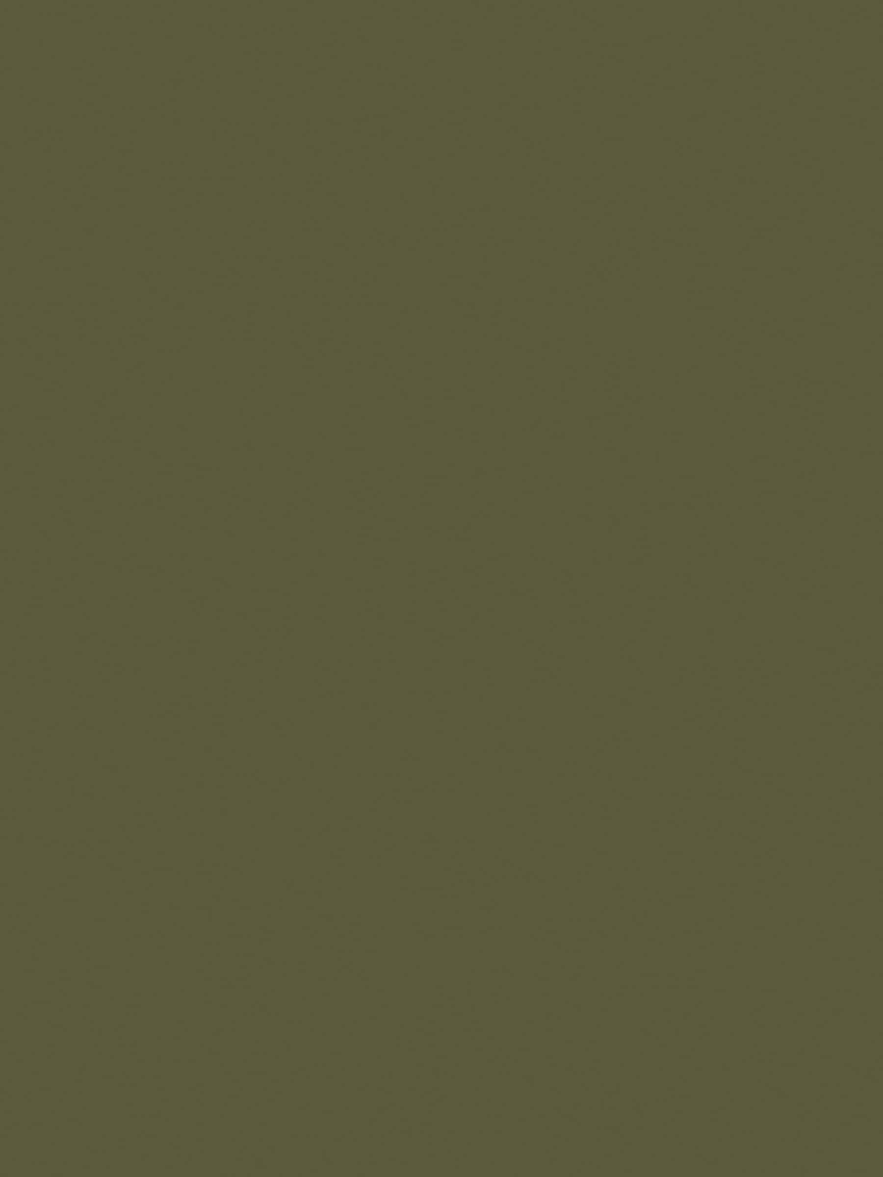 Laura Ashley Dark Hedgerow matt emulsion paint 5L - British product