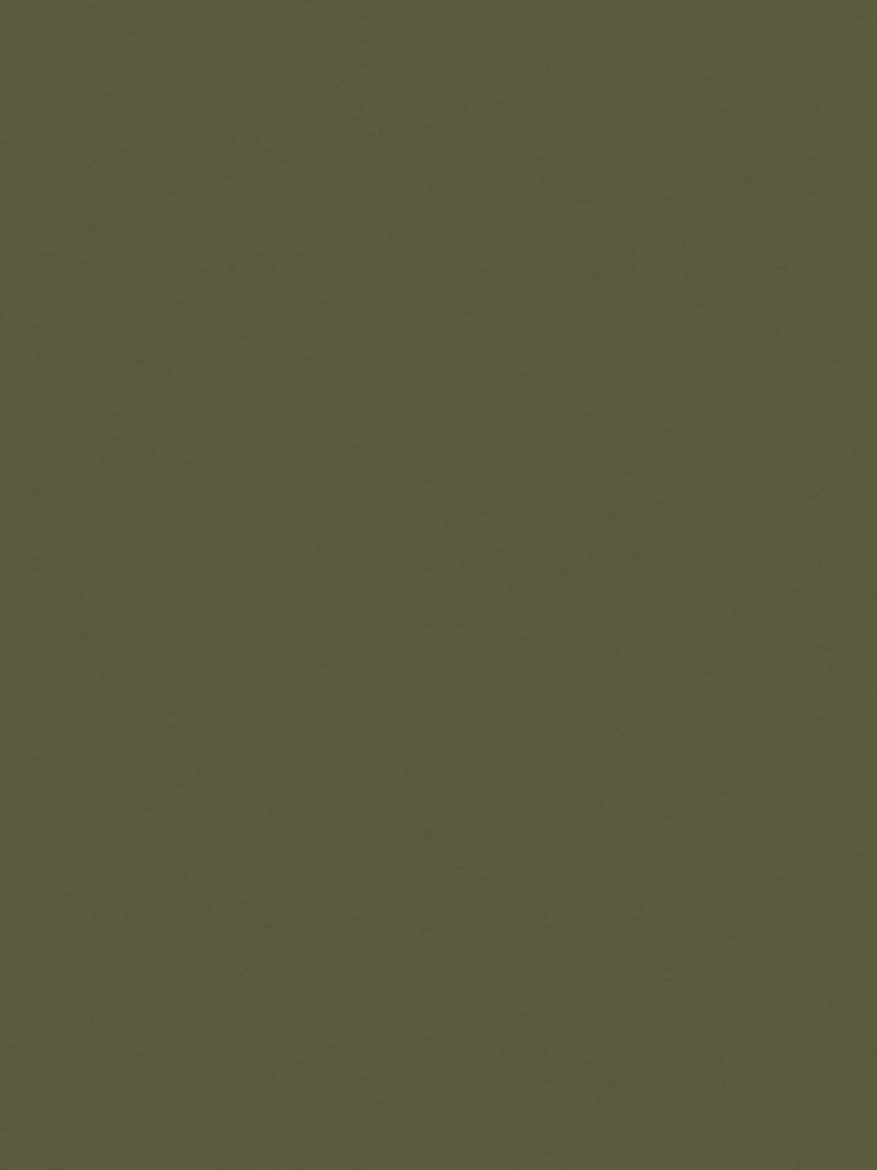Laura Ashley Dark Hedgerow matt emulsion paint 5L - British product
