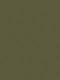 Laura Ashley Dark Hedgerow matt emulsion paint 5L - British product