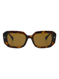 AllSaints tortoiseshell sunglasses brown lenses - British product