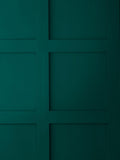 Graham & Brown Eva green eggshell paint - British product