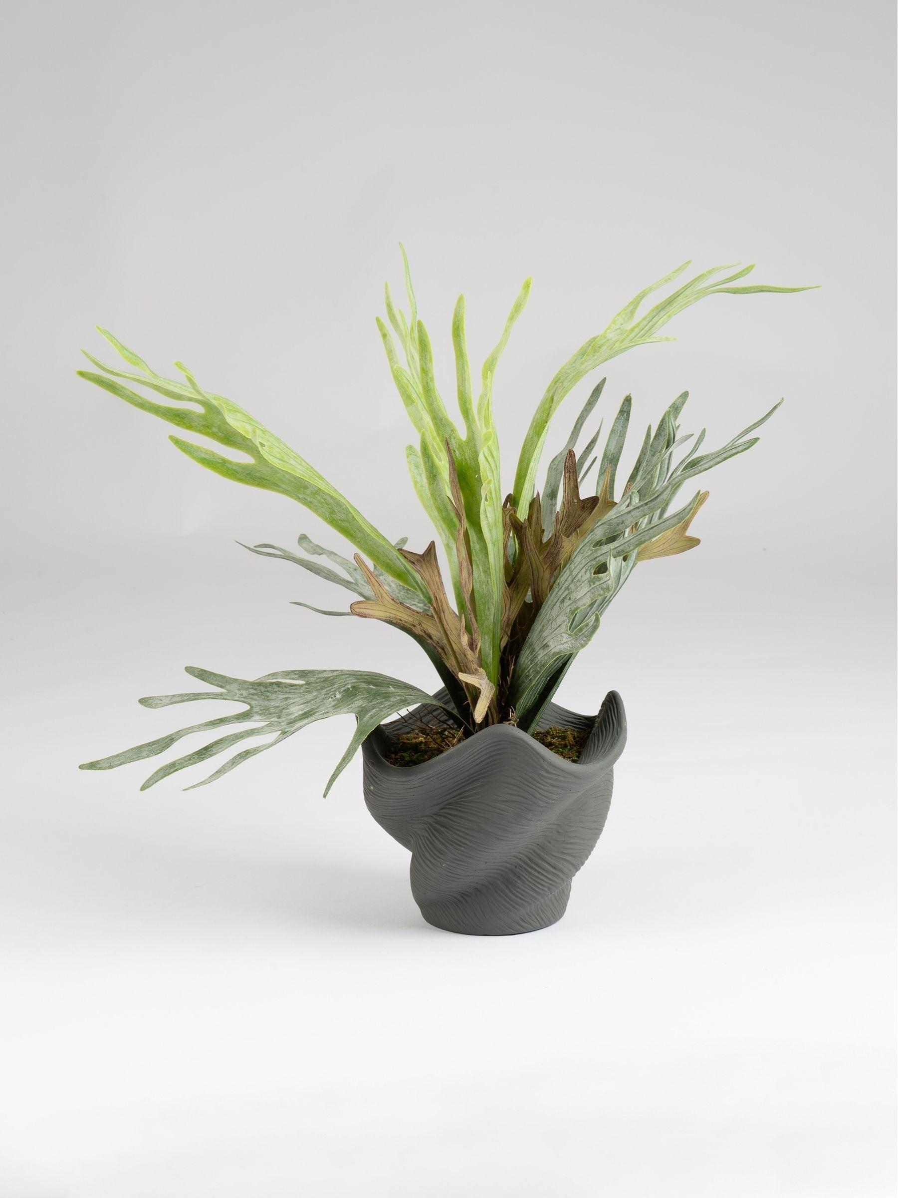 Scottish Everlastings artificial sea greens cement pot 53cm - British product