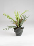 Scottish Everlastings artificial sea greens cement pot 53cm - British product