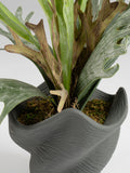 Scottish Everlastings artificial sea greens cement pot 53cm - British product
